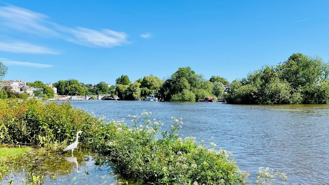 Darren-Knight-2-Richmond