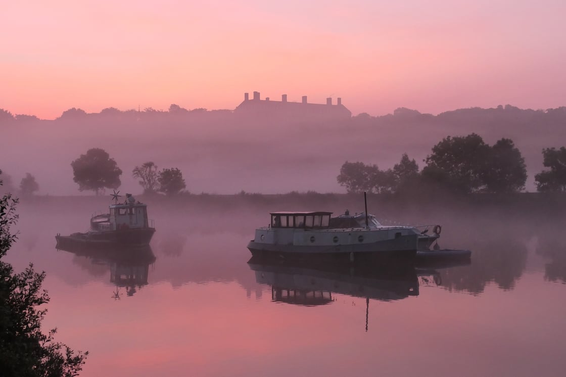 Ingrid Demaerschalk - La vie en Rose in Richmond - Landscape