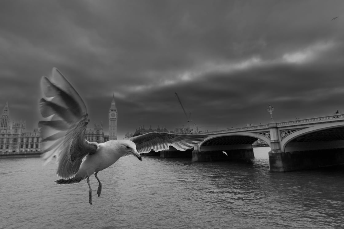 Luke Sampson - The Coming Storm - Nature