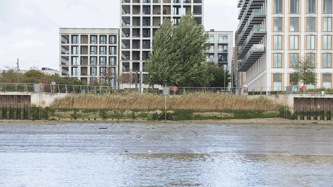 Newham-Natural-Thames-Image